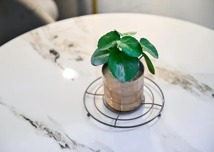 Populare Διαμέρισμα